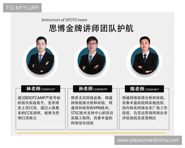 金沙城娱乐官方网站查询入口安全验证流程详解,保障账号安全的实用指南