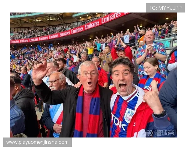 水晶宫足球队队员官网为球迷提供的互动平台与粉丝交流渠道介绍