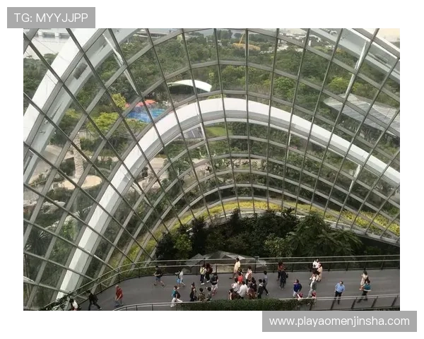 滨海湾金沙娱乐场旅游攻略：如何规划你的新加坡之行，享受最优质的娱乐和休闲服务